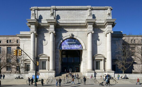 American Museum of Natural History - Image 2