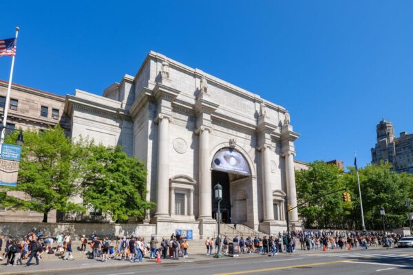 American Museum of Natural History - Image 5