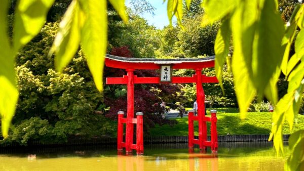 Brooklyn Botanic Garden - Image 8