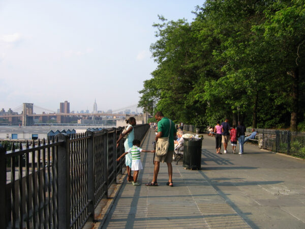 Brooklyn Heights Promenade - Image 5