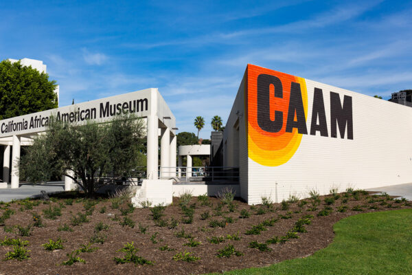 California African American Museum - Image 2