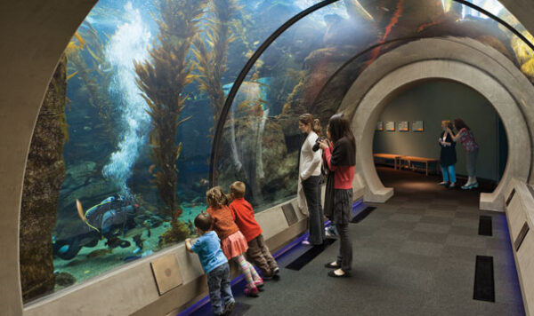 California Science Center - Image 4