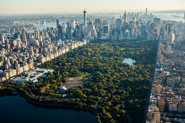 Central Park - Image 2