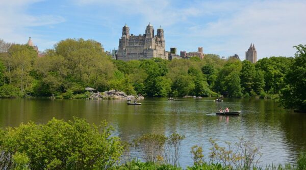 Central Park - Image 4