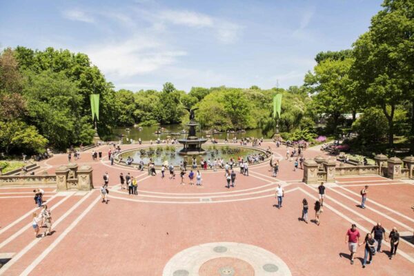 Central Park - Image 6