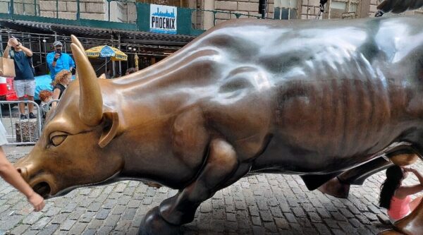 Charging Bull - Image 4