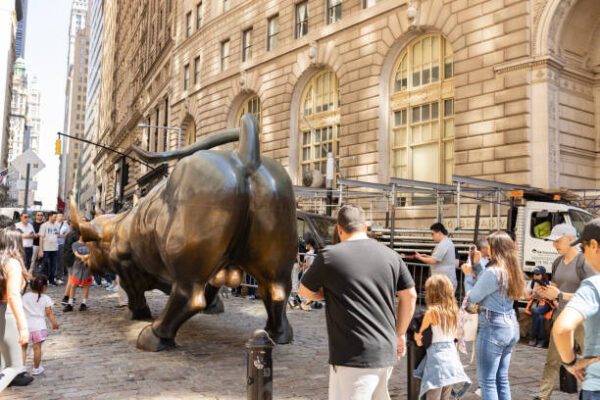 Charging Bull - Image 5