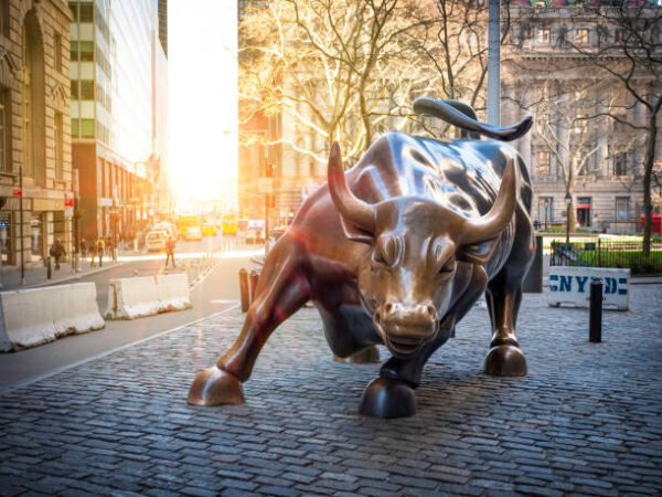 Charging Bull