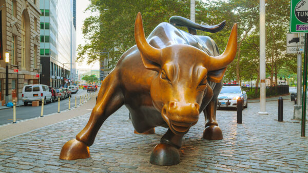 Charging Bull - Image 8