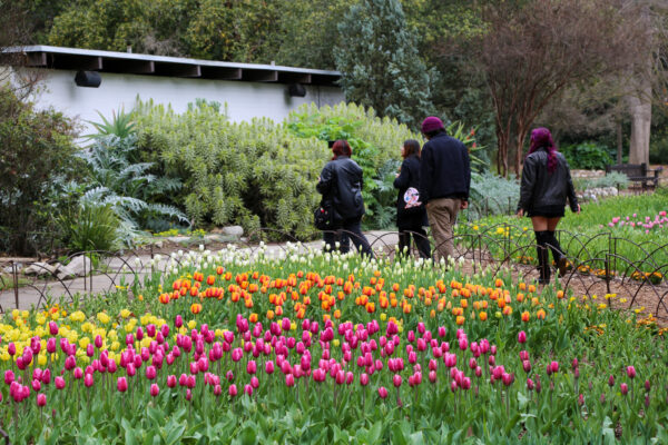 Descanso Gardens - Image 3