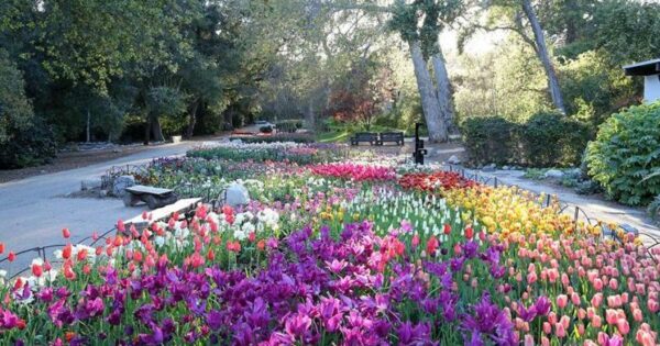 Descanso Gardens