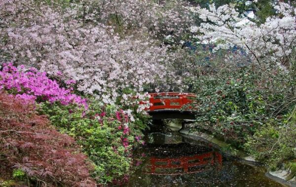 Descanso Gardens - Image 8