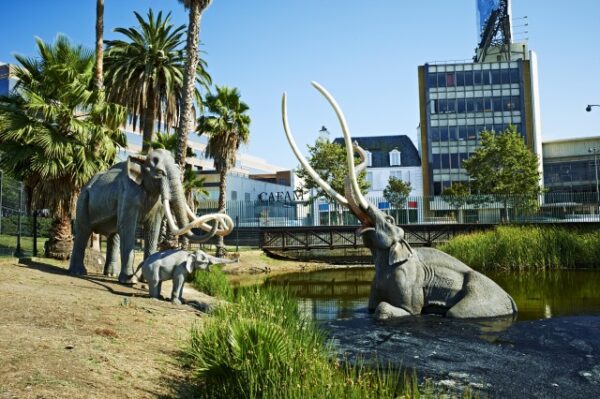 La Brea Tar Pits and Museum - Image 2