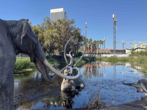 La Brea Tar Pits and Museum - Image 5