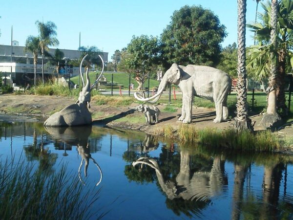 Lake Pit at the La Brea Tar Pits - Image 3