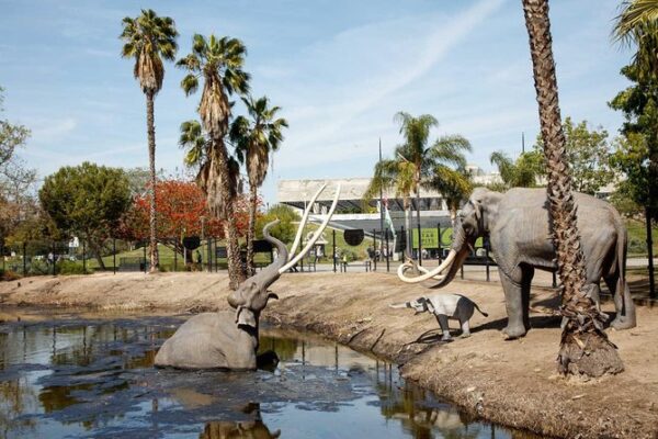 Lake Pit at the La Brea Tar Pits