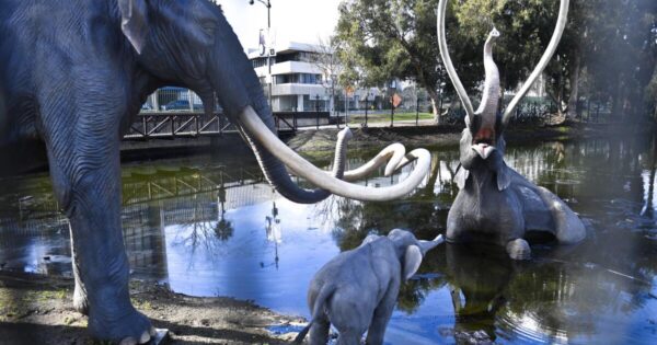 Lake Pit at the La Brea Tar Pits - Image 8