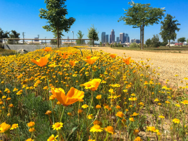 Los Angeles State Historic Park - Image 8