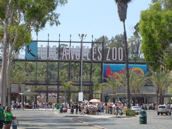 Los Angeles Zoo - Image 3