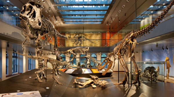 Natural History Museum of Los Angeles County - Image 3