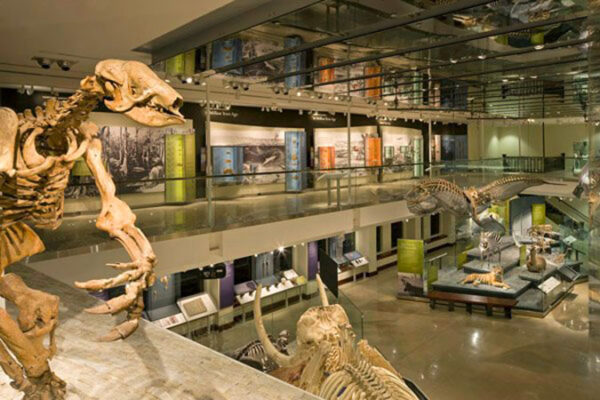 Natural History Museum of Los Angeles County - Image 5