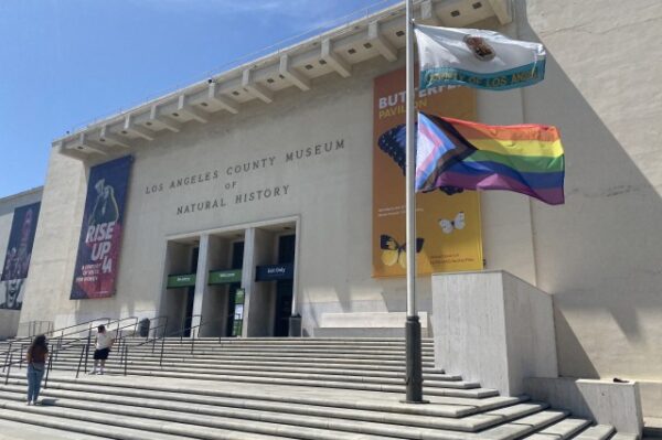 Natural History Museum of Los Angeles County - Image 6