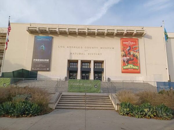 Natural History Museum of Los Angeles County - Image 7