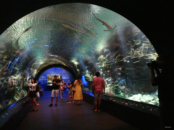 New York Aquarium - Image 4