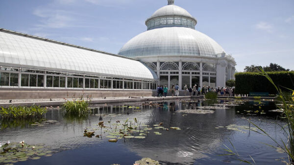 New York Botanical Garden - Image 3