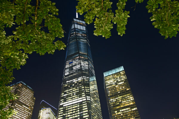 One World Trade Center - Image 6