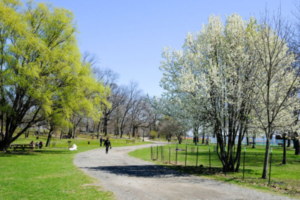 Pelham Bay Park - Image 6