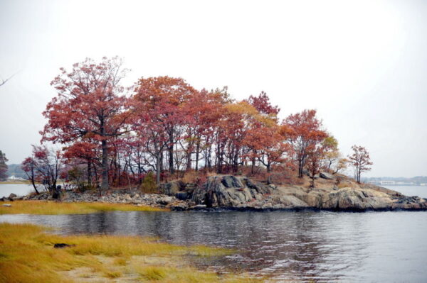 Pelham Bay Park - Image 8