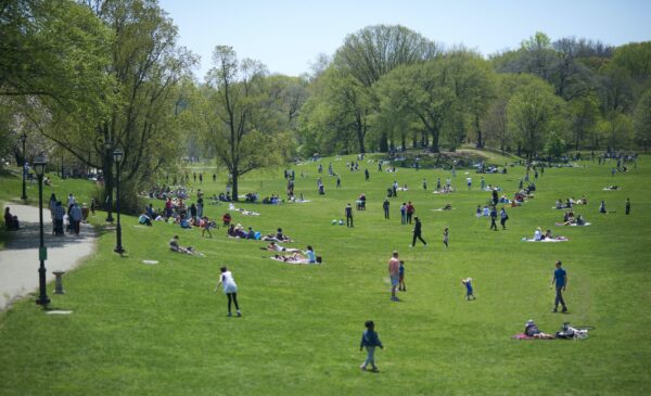 Prospect Park - Image 4