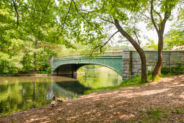 Prospect Park - Image 8