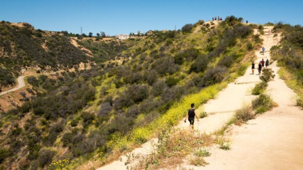 Runyon Canyon Park - Image 3