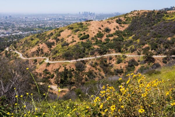 Runyon Canyon Park - Image 4