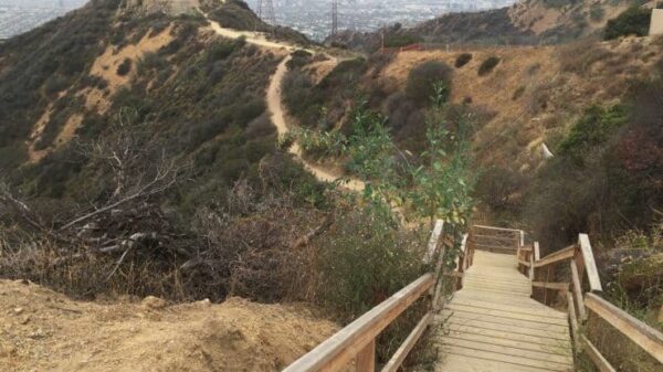 Runyon Canyon Park - Image 6