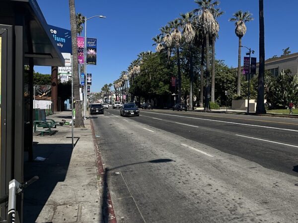 Sunset Boulevard - Image 5