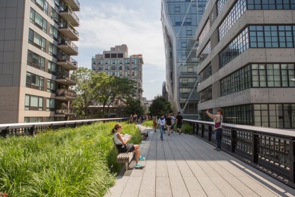 The High Line - Image 4