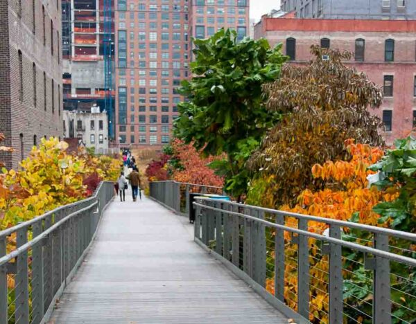 The High Line - Image 7