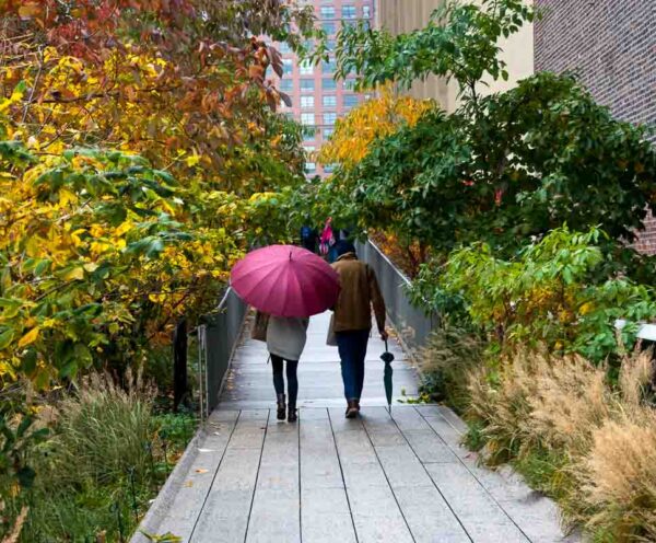 The High Line - Image 8