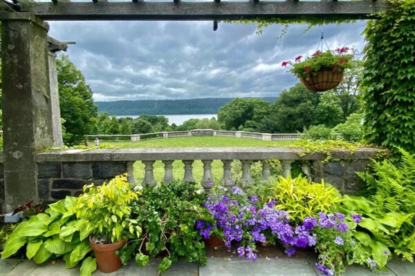 Wave Hill Public Garden & Cultural Center - Image 5