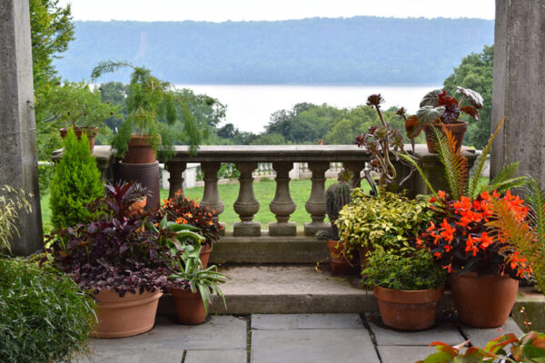 Wave Hill Public Garden & Cultural Center - Image 6