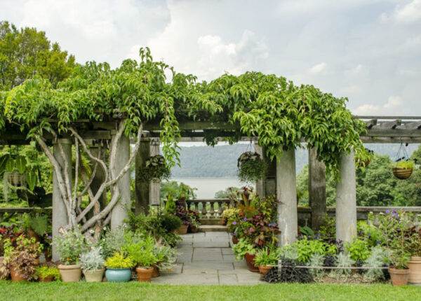 Wave Hill Public Garden & Cultural Center - Image 2