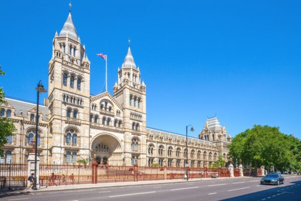Natural History Museum - Image 2