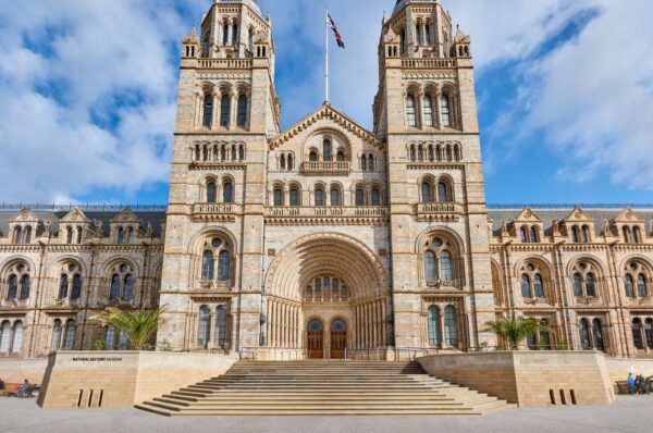 Natural History Museum - Image 3