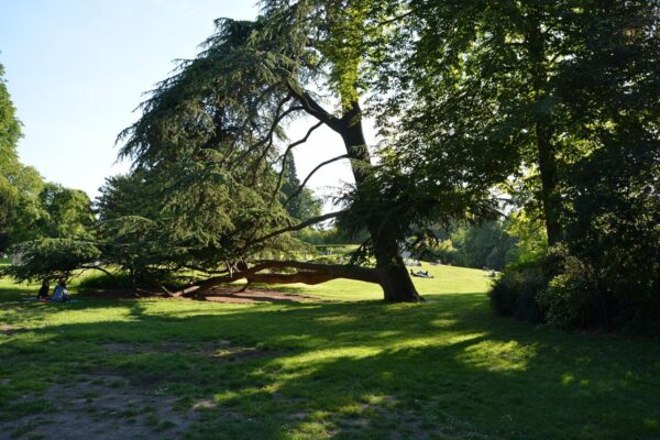 Parc Montsouris - Image 2