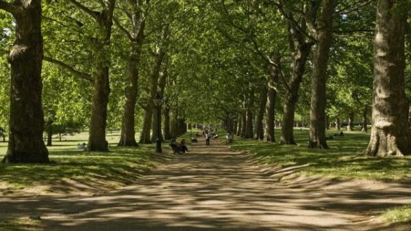 The Green Park - Image 5