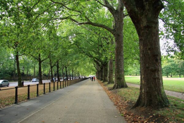 The Green Park - Image 8