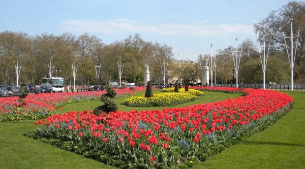 The Green Park